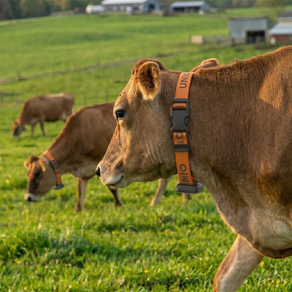Animal Monitoring and Alert System