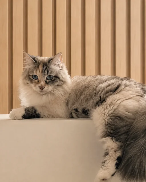Matilda