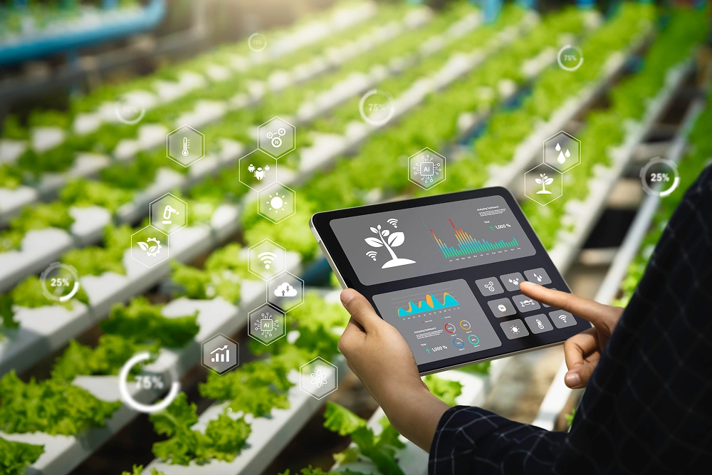 Agriculture