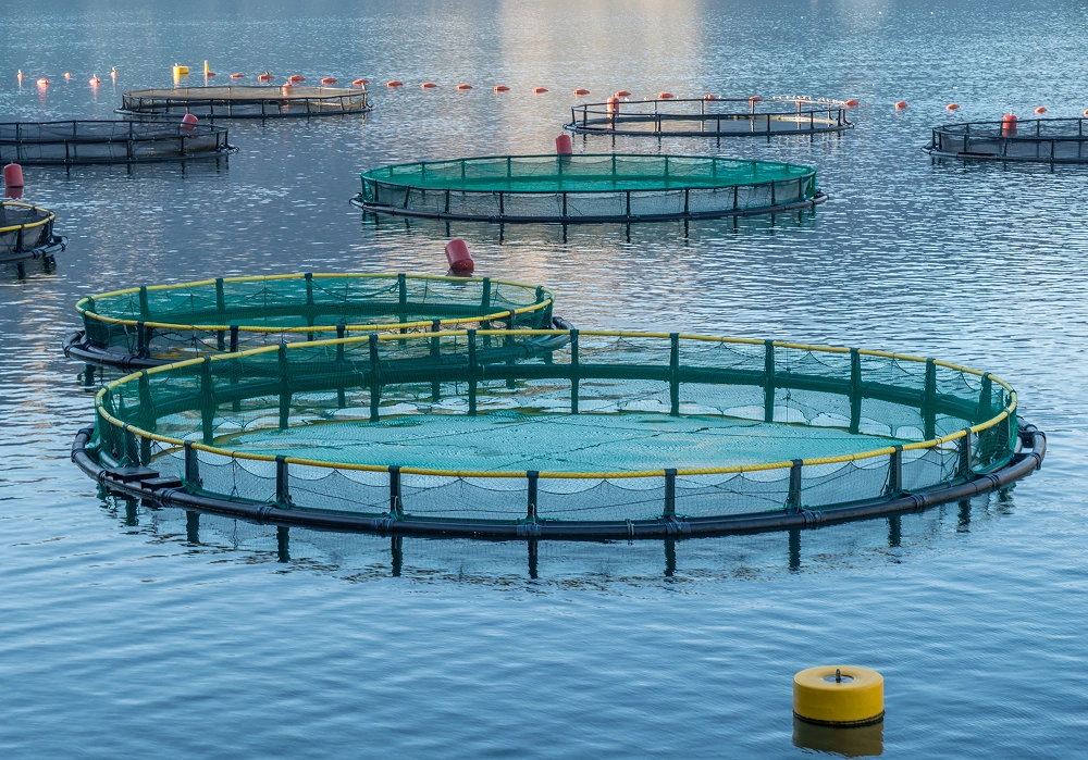 Aquaculture & Farming
